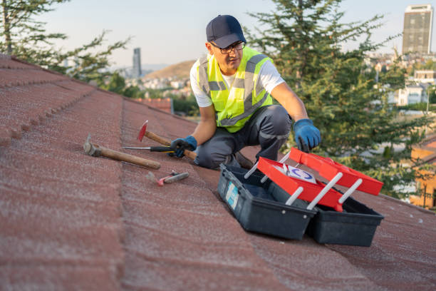 Best Fascia and Soffit Installation  in West Union, IA